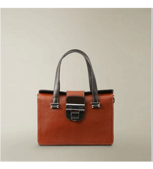 کیف چرم زنانه کارتیه